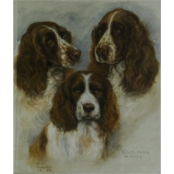   Portrait of Three Spaniels, 20th century pastel signed and dated 1989 by Marjorie Cox 57cm x 49cm  
