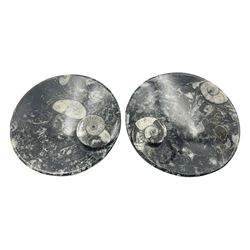 Pair of circular dishes with a raised goniatite and orthoceras and goniatite inclusions, age: Devonian period, location: Morocco, D11cm