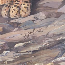 Elaine C Geall (British 1976-): 'African Leopard' and 'Patient Observer - Tawny Owl', acrylic on paper signed, titled verso 29cm x 48cm and 53cm x 35cm (2)