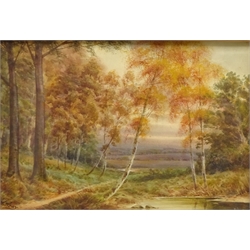  Woodland River Landscapes, pair of early 20th century watercolours signed by W Wray 24cm x 35cm (2)   