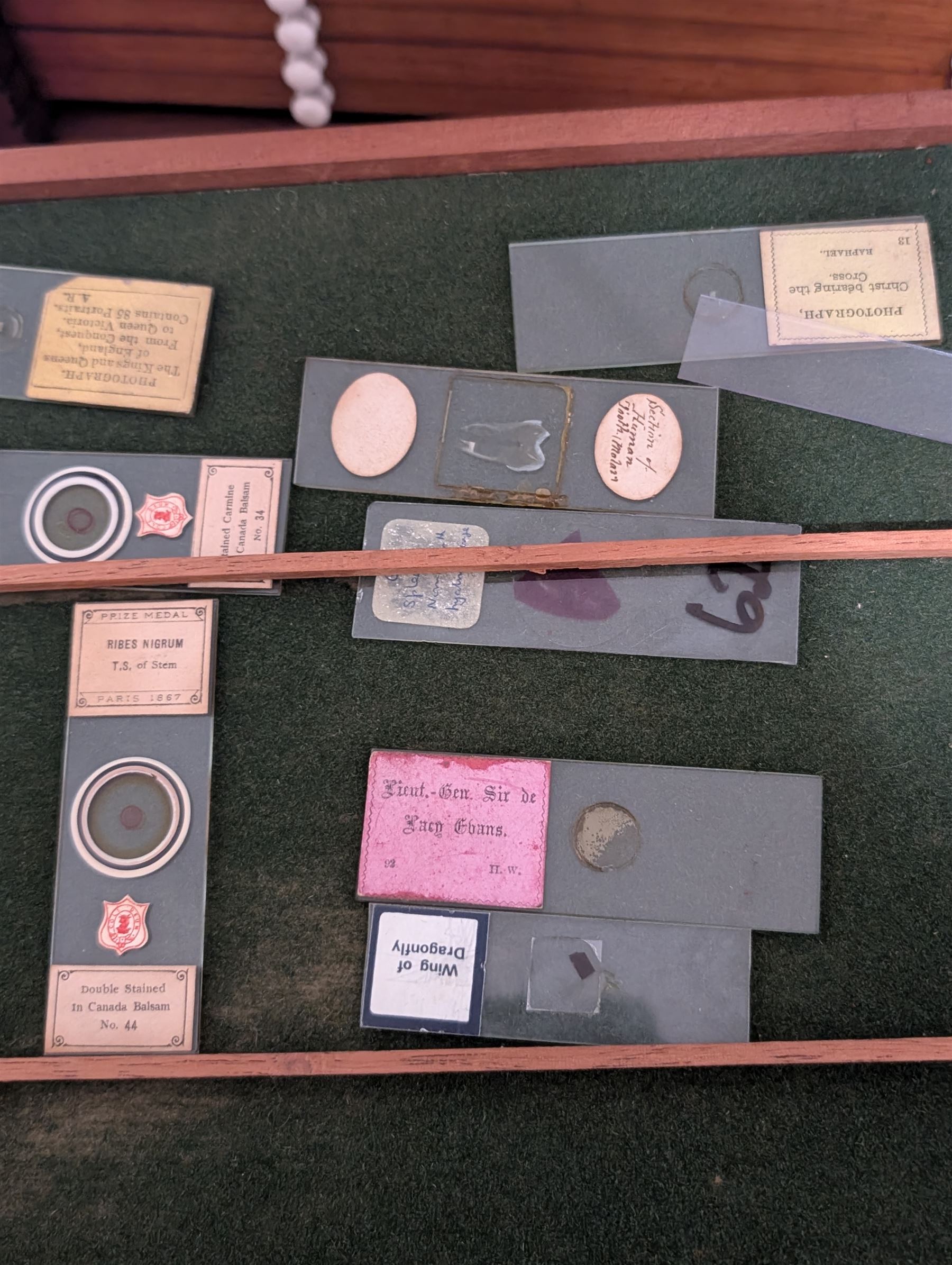 Victorian collector's specimen cabinet, containing a number of prepared microscope slides including miniature photographs, animal and human pathological, physiological and histological specimens and botanical specimens, mostly annotated in ink, the cabinet with glazed door, the drawers with bone handles and lined with green felt, owned by Dr Arthur Bristow, together with a picture of the doctor, cabinet H43cm