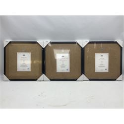 Set of three Royal Mail David Bowie limited edition album stamp prints, comprising  Ziggy Stardust Tour, Hunky Dory and Earthling, all framed and in original packaging, H43cm W43cm