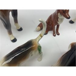 Beswick hunting group, comprising huntswoman on dappled grey horse no 1730, huntsman on bay horse no 1501, two fox figures no 1440 and 1748, and four fox hounds, all with printed marks beneath (8)