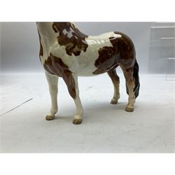 Two Royal Doulton horse figures, comprising Appaloosa Horse and Desert Orchid on wooden plinth, together with a Beswick skewbald pinto pony no 1373