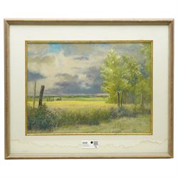 Peter Johnson (British 20th century): Stormy Skies over Pastoral Fields, pastel signed 34cm x 46cm