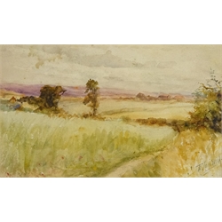  Moorland Landscape, watercolour signed by Robert Jobling (Staithes Group 1841-1923) 14cm x 22.5cm  