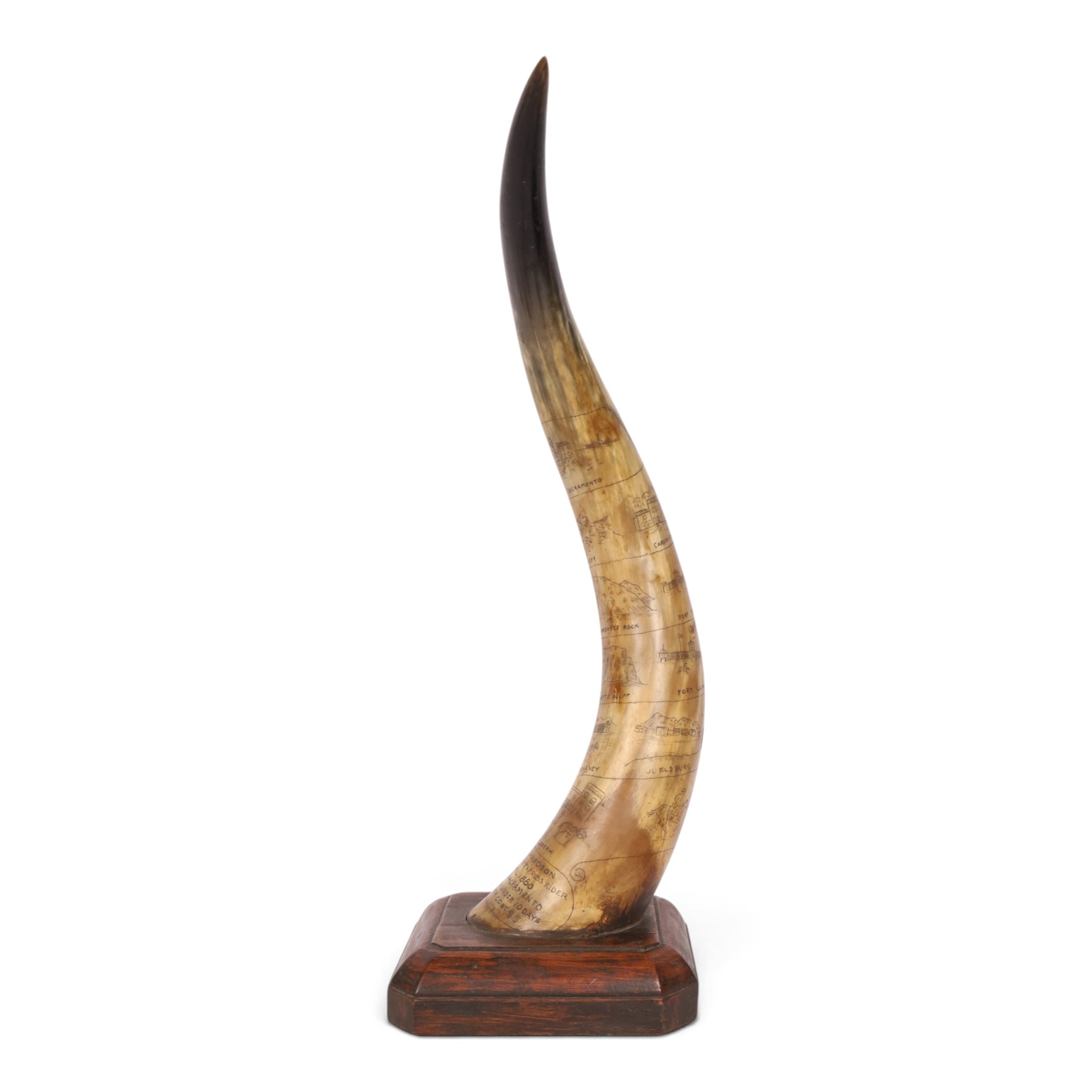 American horn with carvings to commemorate Billy Richardson the first Pony Express Rider dated April 1860 mounted on a wooden base 56cm
