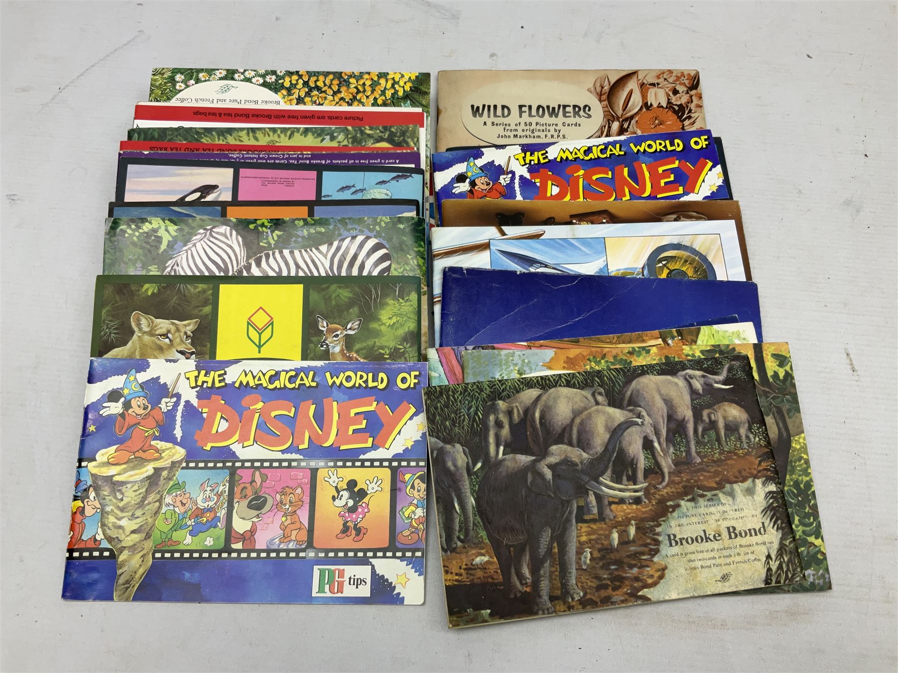 Quantity of trade cards, housed in ring binder albums and loose, including Twinnings, Lyons, PG Tips, Hornimans, Ty-Phoo etc and various unused official paper albums, in two boxes