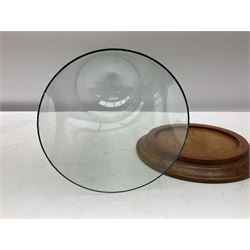 Glass dome display covers on a circular wooden base, H46cm