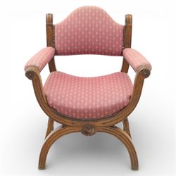 Late Victorian oak x-frame armchair, upholstered padded back and seat covered in pink patterned fabric with close studded borders, shaped downswept arms with scroll terminals, raised on curved x-frame supports with moulded scroll feet