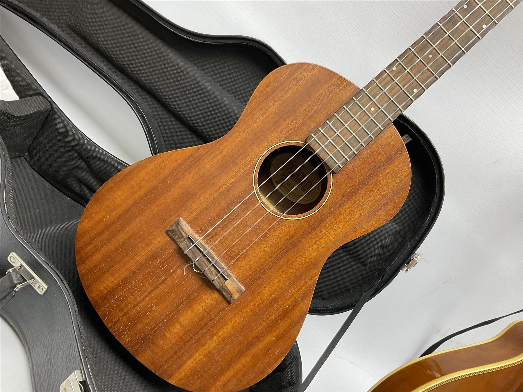 Palmer eight-string mandolin with mahogany back, simulated ivory and mother-of-pearl mounts L67cm; and Mahalo mahogany cased baritone scale ukulele, model no.U320B, L76cm; in hard carrying case (2)