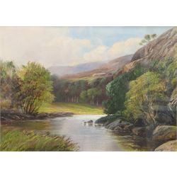 Walter Linsley Meegan (British c1860-1944): Waterfall and River Landscapes, pair oils on canvas signed 24cm x 34cm (2)