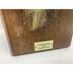 Taxidermy; Red fox (Vulpes Vulpes) tail and paw upon a oak plaque marked 'Staintondale Hunt Feb 23rd 1937', H52cm 