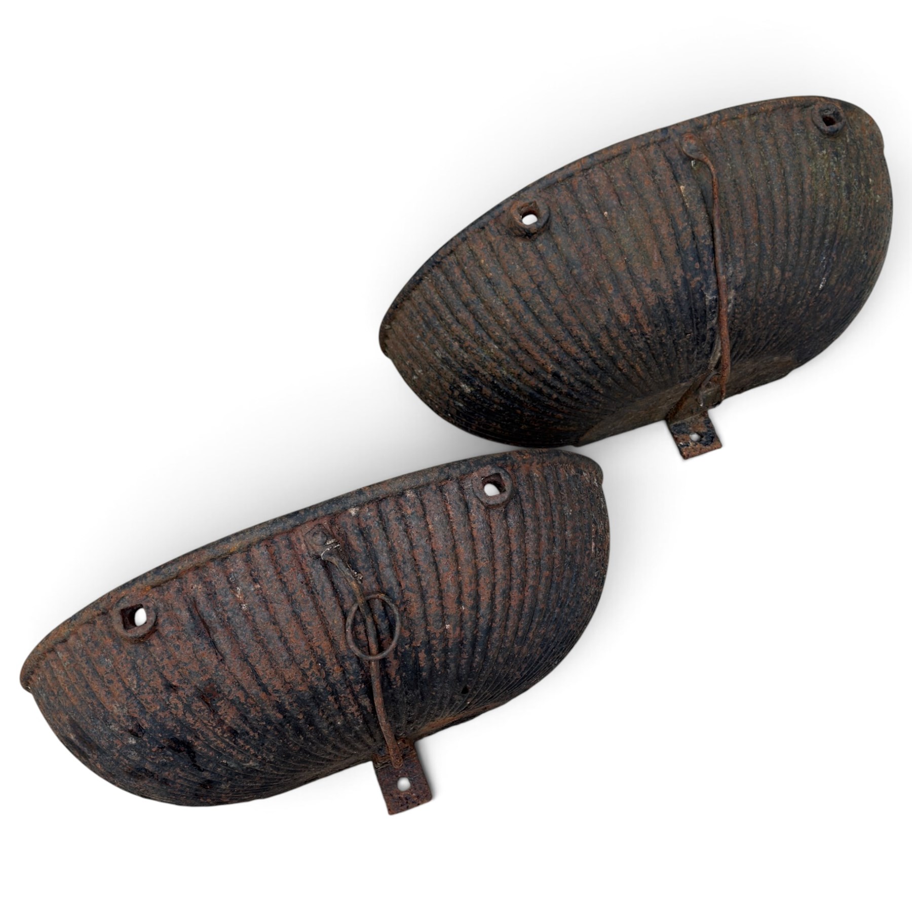 Pair of Victorian wrought iron D-shaped planters, rolled rim over a gadrooned body with fixing holes and ring to the front