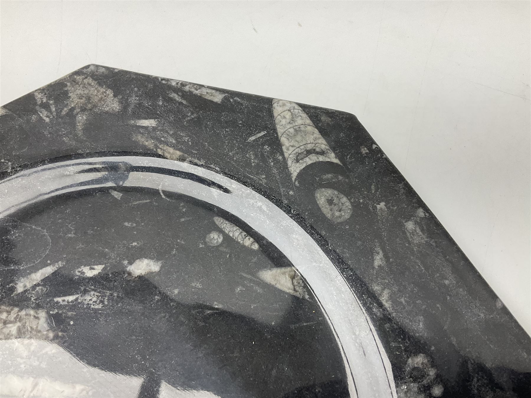 Four octagonal plates, each with Orthoceras and Goniatite inclusions, age: Devonian period, location: Morocco, D30cm