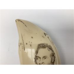 Scrimshaw style resin whale's tooth with incised decoration commemorating William Scoresby and The Baffin, Whitby, L14cm