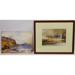  Collection of pictures including 'Sue' - Portrait of a Lady, watercolour signed verso by Olga Gedling, Along a Country Path, watercolour signed by Barrie Rawlinson,  'Sunny Scene', watercolour signed by T. G Wright, Loch Scene, signed by G. W. A Smith etc max 49cm x 66cm some unframed (15)  