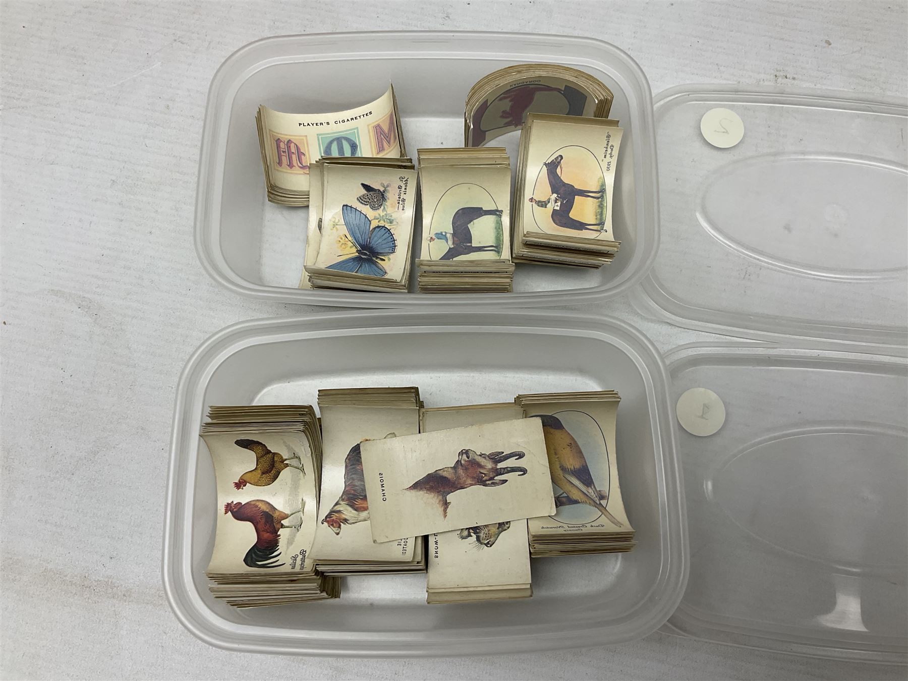 Quantity of mostly cigarette cards, housed in ring binder albums and loose, by Ardath, W.D. & H.O. Wills, John Player & Sons, The American Tobacco Co etc, including famous film stars, cinema stars, wild birds, poultry, dogs etc and various books or catalogues relating to cigarette card collecting, in one box