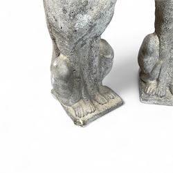 Pair of cast stone sitting greyhounds 
