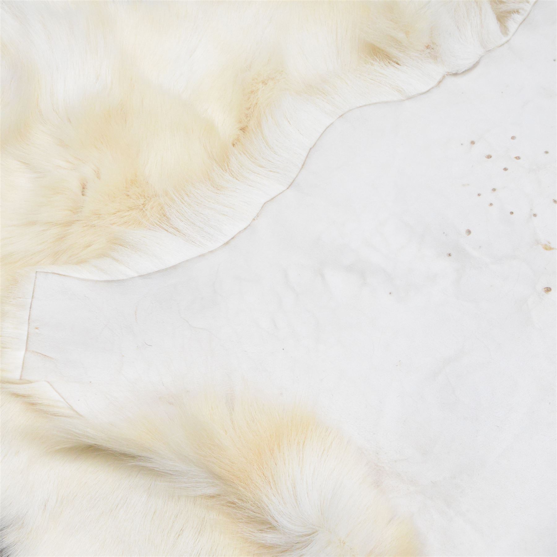 Skin/ Hide; White Reindeer hide rug, L32cm