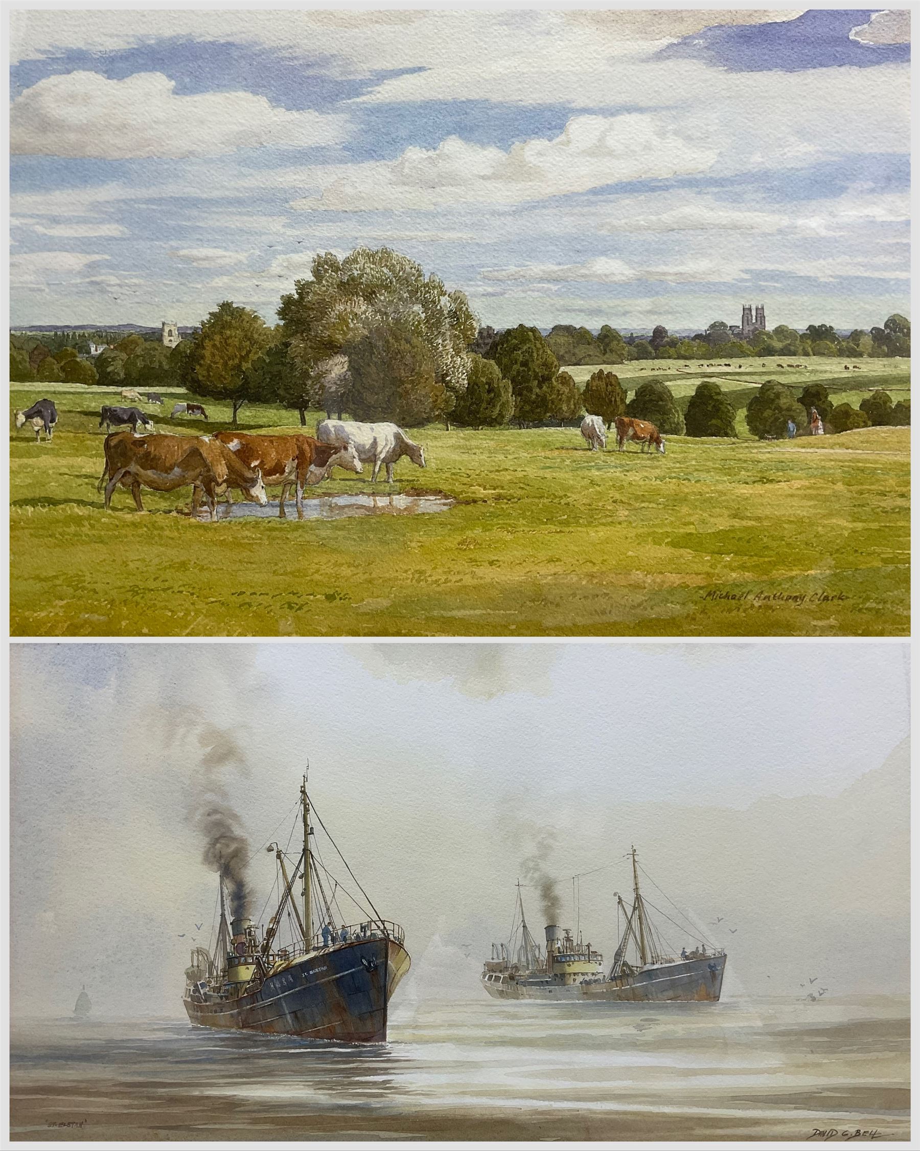 David C Bell (British 1950-): 'St Elstan' Hull Trawler, watercolour signed 25cm x 34cm; Michael Anthony Clark (British 20th century): Cattle Grazing, watercolour signed 29cm x 51cm (2)