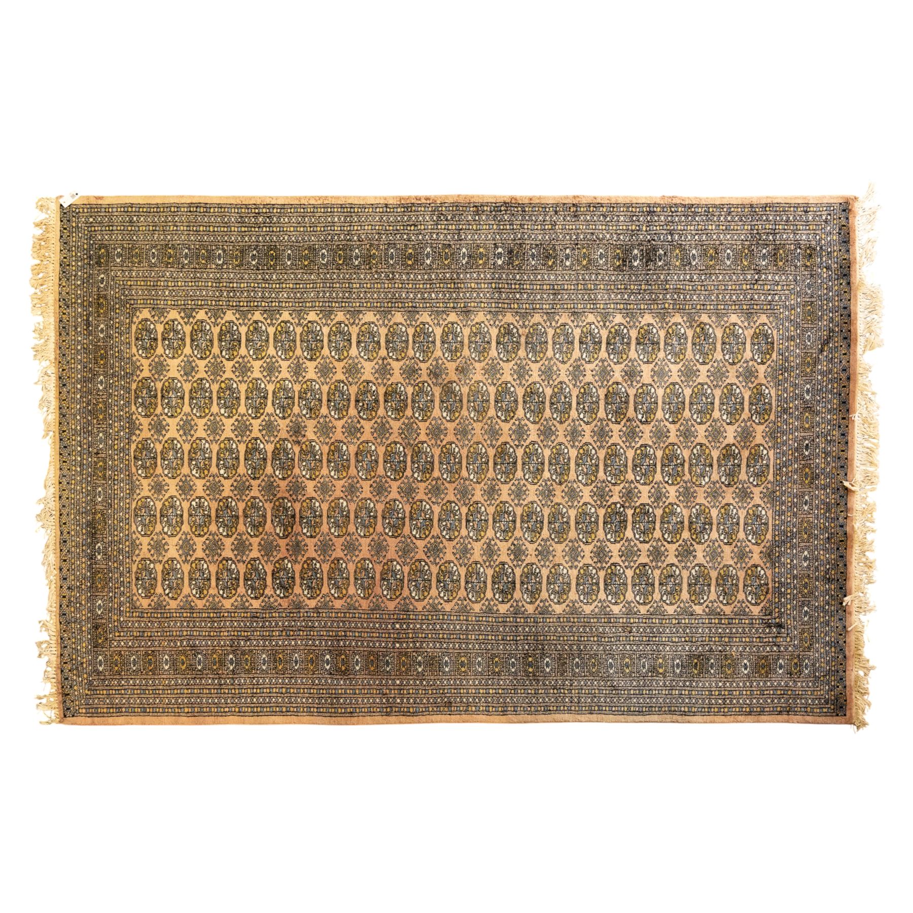Bokhara rug, rose ground, with multiple rows of ivory and indigo guls enclosed by narrow geometric borders in tones of ivory, grey, and gold