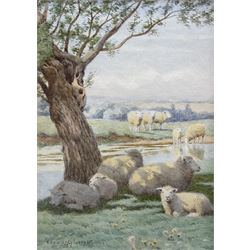 William Sidney Cooper (British 1854-1927): Sheep in the Shade, watercolour signed and dated 1924, 18cm x 12cm