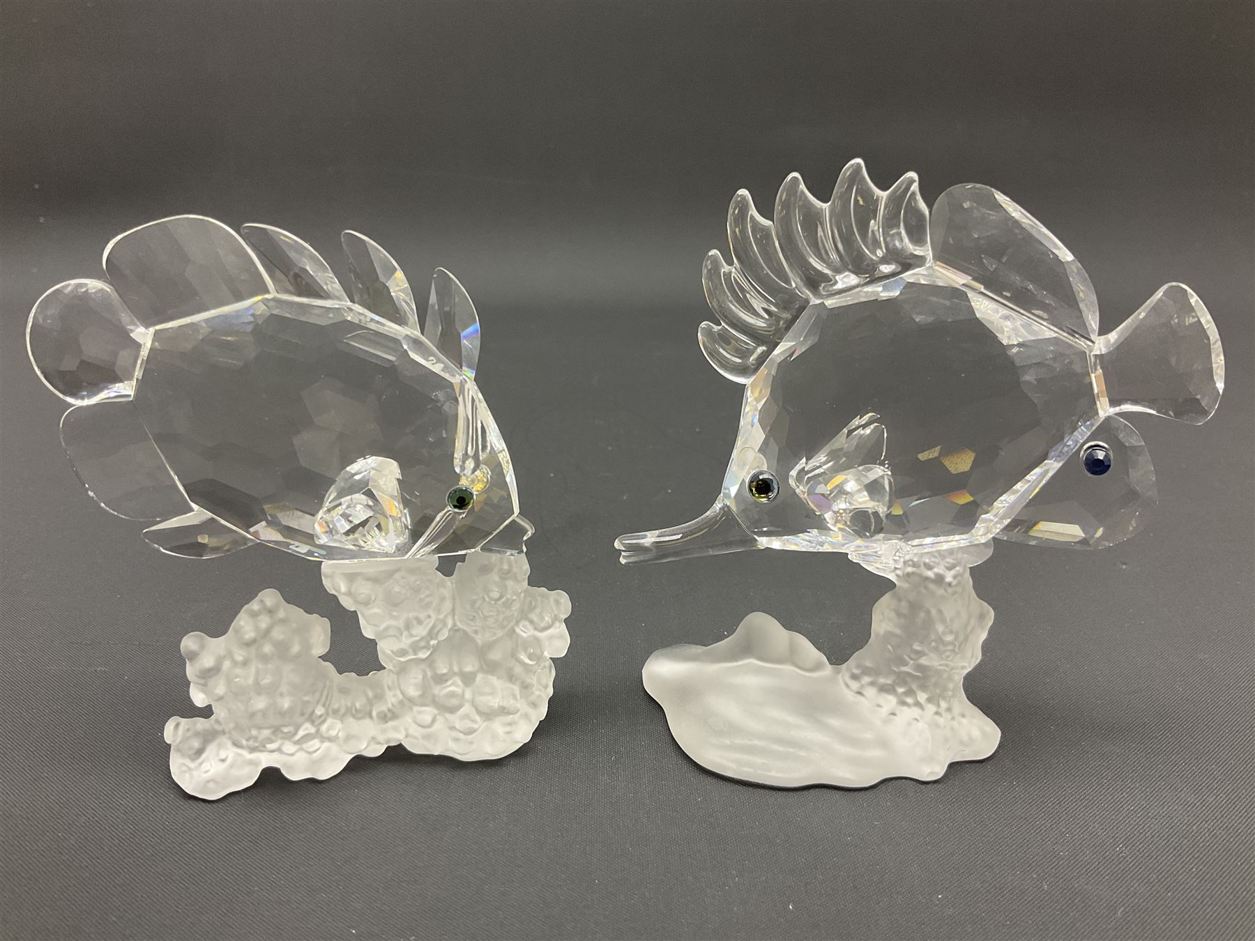 Swarovski Crystal sea creatures, comprising lion fish and dolphin, both with coloured elements, together with two seahorses, two small fish groups, butterfly fish, longnose butterfly fish and six coloured shells, tallest H8.5cm