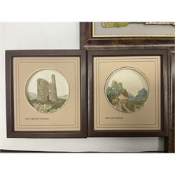 Nine Lilliput Lane framed wall plaques, including Fell View, Battleview, Catslide Cottage, Ashdown Hall and Shannon's Bank, together with three smaller circular framed Lilliput Lane plaques