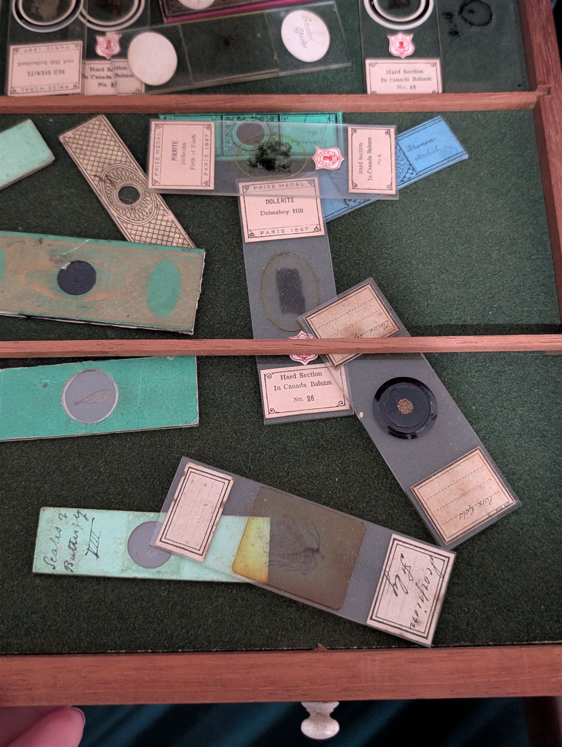 Victorian collector's specimen cabinet, containing a number of prepared microscope slides including miniature photographs, animal and human pathological, physiological and histological specimens and botanical specimens, mostly annotated in ink, the cabinet with glazed door, the drawers with bone handles and lined with green felt, owned by Dr Arthur Bristow, together with a picture of the doctor, cabinet H43cm