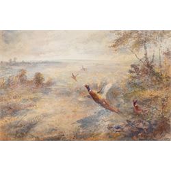 James Stinton (British 1870-1961): Pheasants Breaking Cover, watercolour signed 17cm x 26cm