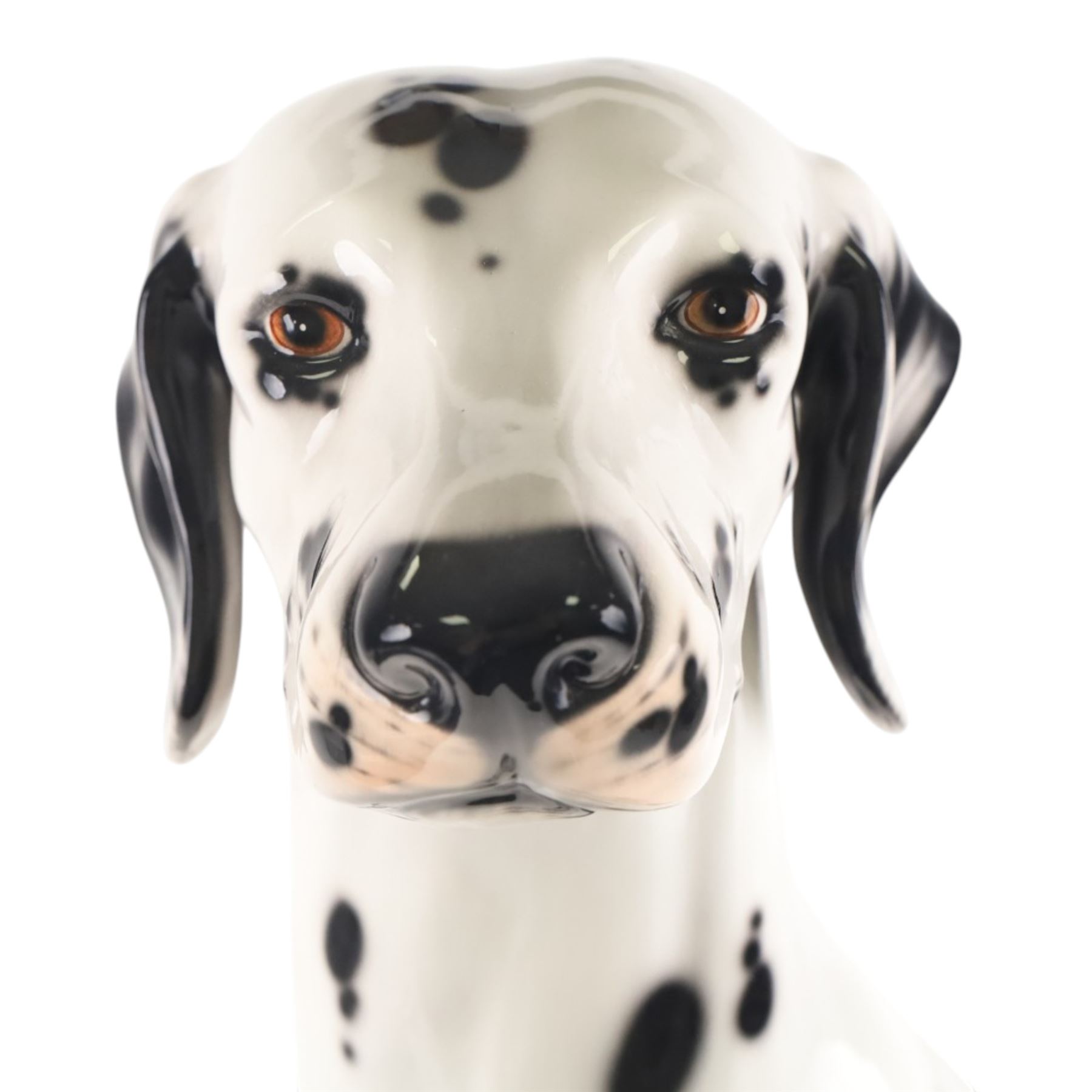 Life-sized model of a seated Dalmatian, H80cm