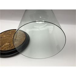 Large glass dome, upon a ebonised circular base, H48cm 