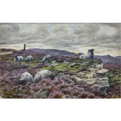 Dorothy Margaret Alderson (British 1900-1992): Sheep Grazing on a Moorland Crag, watercolour signed and dated 1920, 8.5cm x 13.5cm
