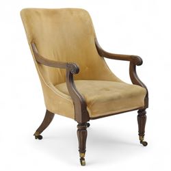 William IV mahogany library armchair, beige velvet upholstered back and padded seat with p...