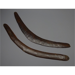  19th century Australian Aboriginal boomerang, with old carving marks L59cm, and another similar, L60cm (2)   