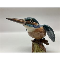 Karl Ens figure of a green woodpecker, modelled perched upon branch, model no. 7527, together with Karl Ens figure of budgie and Beswick Kingfisher no. 2371, all with printed marks beneath, tallest H25cm