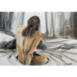 Fiona Ewan Rowett (South African 1948-): Reclining Female Nude, pastel and charcoal on paper signed and dated '01, 48cm x 68cm 