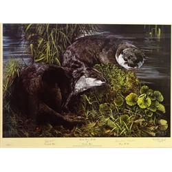  Bee the Otter and Mr Bee, limited edition colour print No.382/850 signed in pencil by Dorothea Hyde 44cm x 61cm  