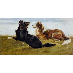 JS Park (British 19th Century): Border Collies, oil on board signed and dated 1895, 20cm x 39cm 