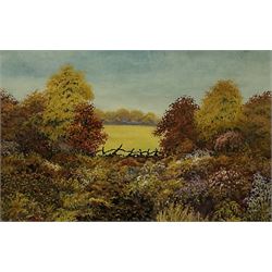 George Hewitt (British 19th/20th century): Manor House Landscape, watercolour signed and dated 1894, 26cm x 36cm; English School (20th century): Autumn Field Landscape, gouache indistinctly signed 17cm x 25cm; English School (20th century): Dales Hamlet Landscape, watercolour indistinctly signed 25cm x 33cm (3)