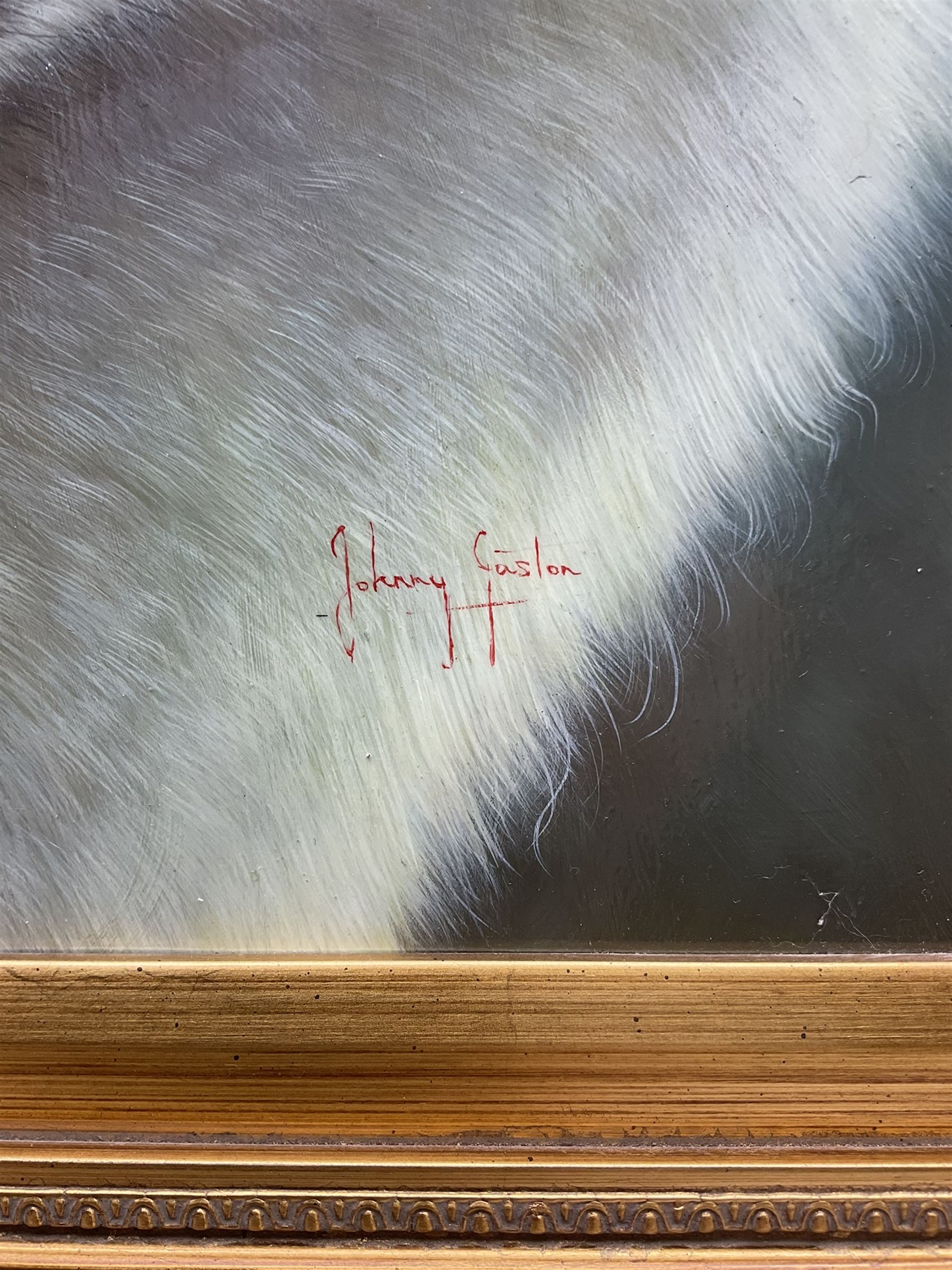 Johnny Gaston (British 1955-): The White Wolf, acrylic on panel signed 49cm x 39cm