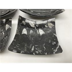 Set of four square dishes in two sizes, each with Orthoceras and Goniatite inclusions, age: Devonian period, location: Morocco, large dish D17cm