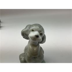 Four Lladro figures, comprising Playing Poodles in matte finish no 11258, Friend for Life 7685, Little Hunter no 6212 and Gentle Surprise no 6210, three with original boxes, largest example H15cm 