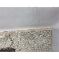 Fossilised fish group in a single matrix; freshwater fish presentation from the prehistoric system of three lakes known as the Green River Formation, featuring Priscacara, Phareodus testis, Diplomystus dentatus
 H59cm, L97cm