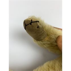 Merrythought Hygienic Toys large 'Magnet' teddy bear c1930s with plush body, swivel jointed head with glass eyes and vertically stitched nose and mouth and jointed limbs,  celluloid wishbone button to right ear and stitched label under right pad H22