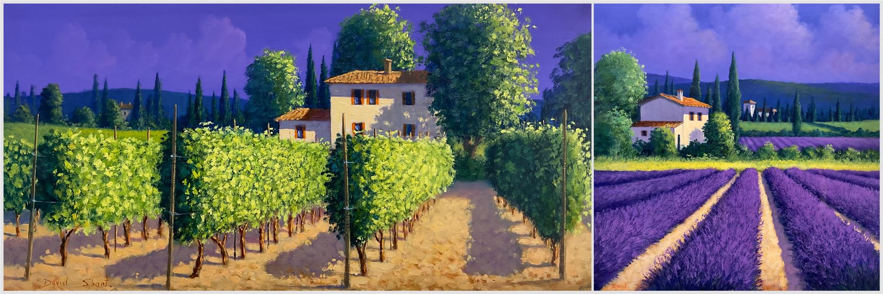 David Short (Nottingham 1940-): Tuscan Vineyards, two oils on board signed, 43cm x 43cm and 29cm x 59cm (2)