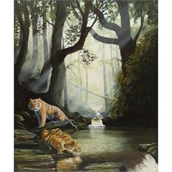 Bruce Dobson (British 20th century): Tigers Watering, oil on canvas signed 60cm x 50cm
