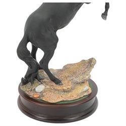 Beswick Cancara The Black Horse, designed by J. G. Tongue, modelled rearing horse on a naturalistic stony ground, upon a circular plinth with engraved title plaque, with certificate and in original box, H46cm 