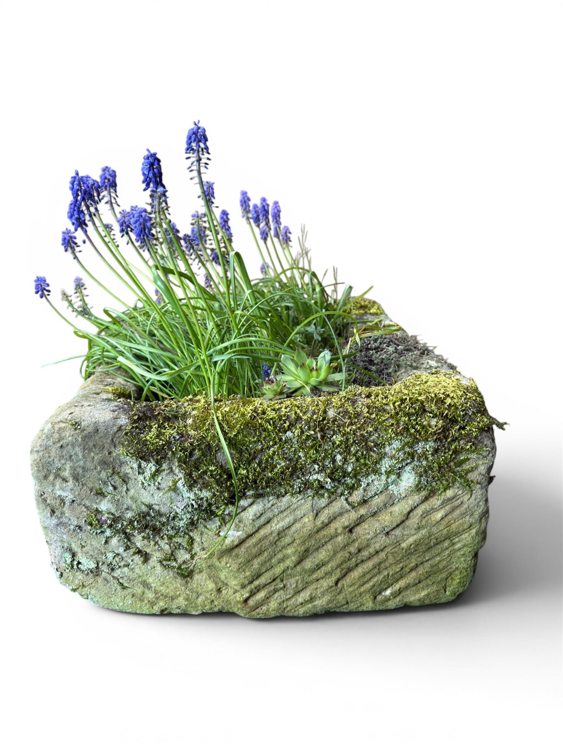 19th century weathered hewn stone planter of rectangular form, planted